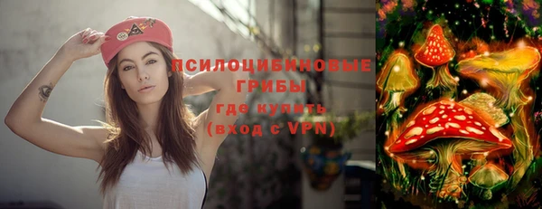 прущий лед Протвино