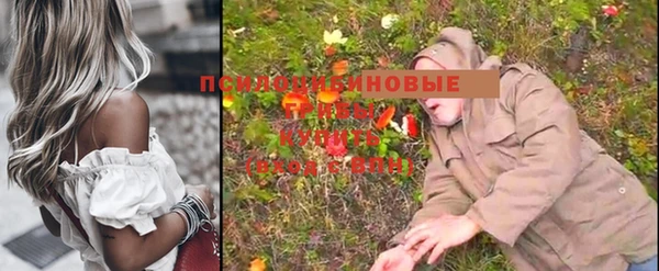 прущий лед Протвино