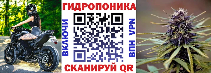 Конопля планчик  дарнет шоп  hydra ONION  Бирюсинск 